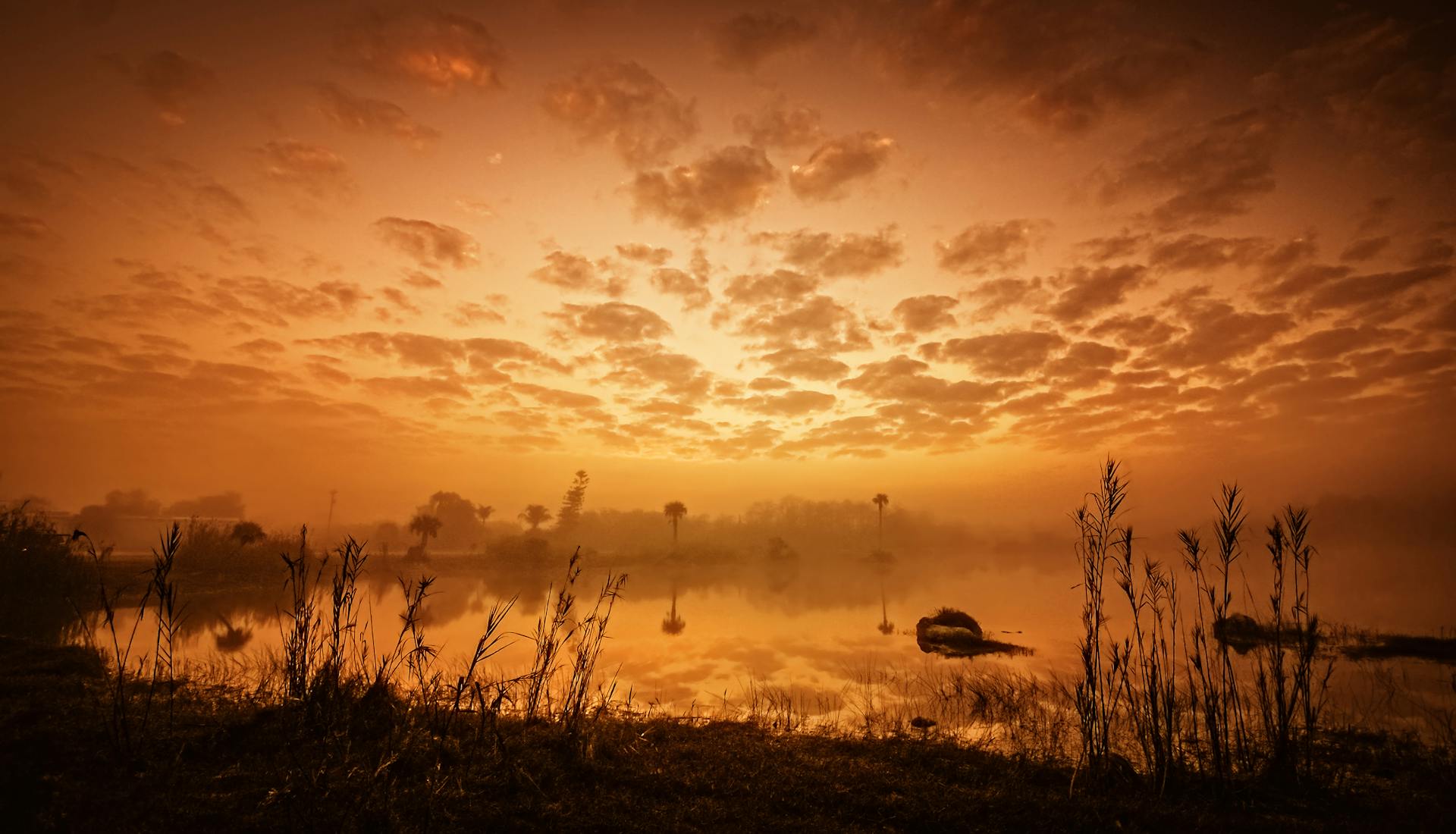 Golden sunrise over water